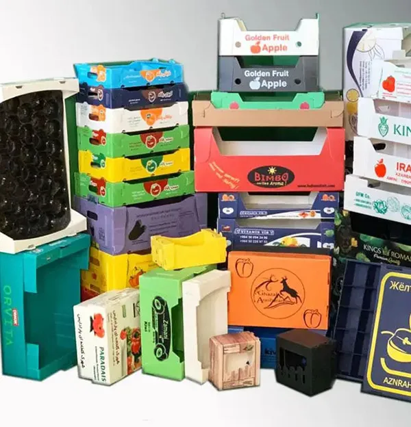 prépresse carton ondulé Tunisie