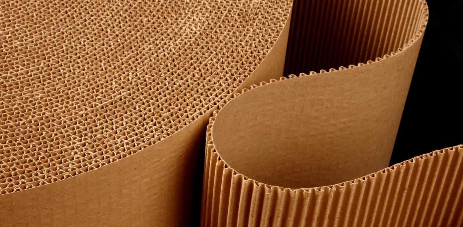 Plaques flexo pour carton ondulé Tunisie